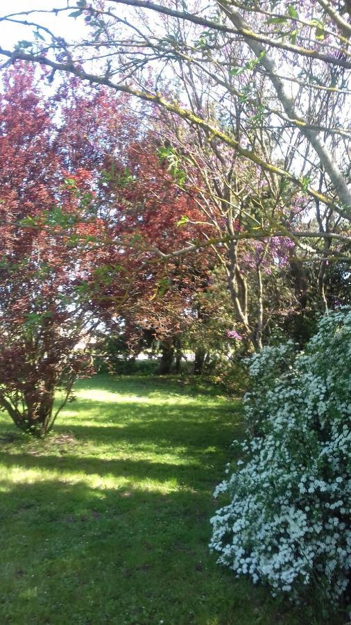 La Madeleine Bed & Breakfast Pezens Luaran gambar