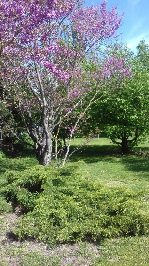 La Madeleine Bed & Breakfast Pezens Luaran gambar